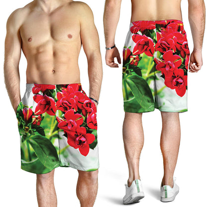 Bouvardia Plant Print Men's Shorts