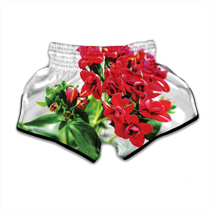 Bouvardia Plant Print Muay Thai Boxing Shorts