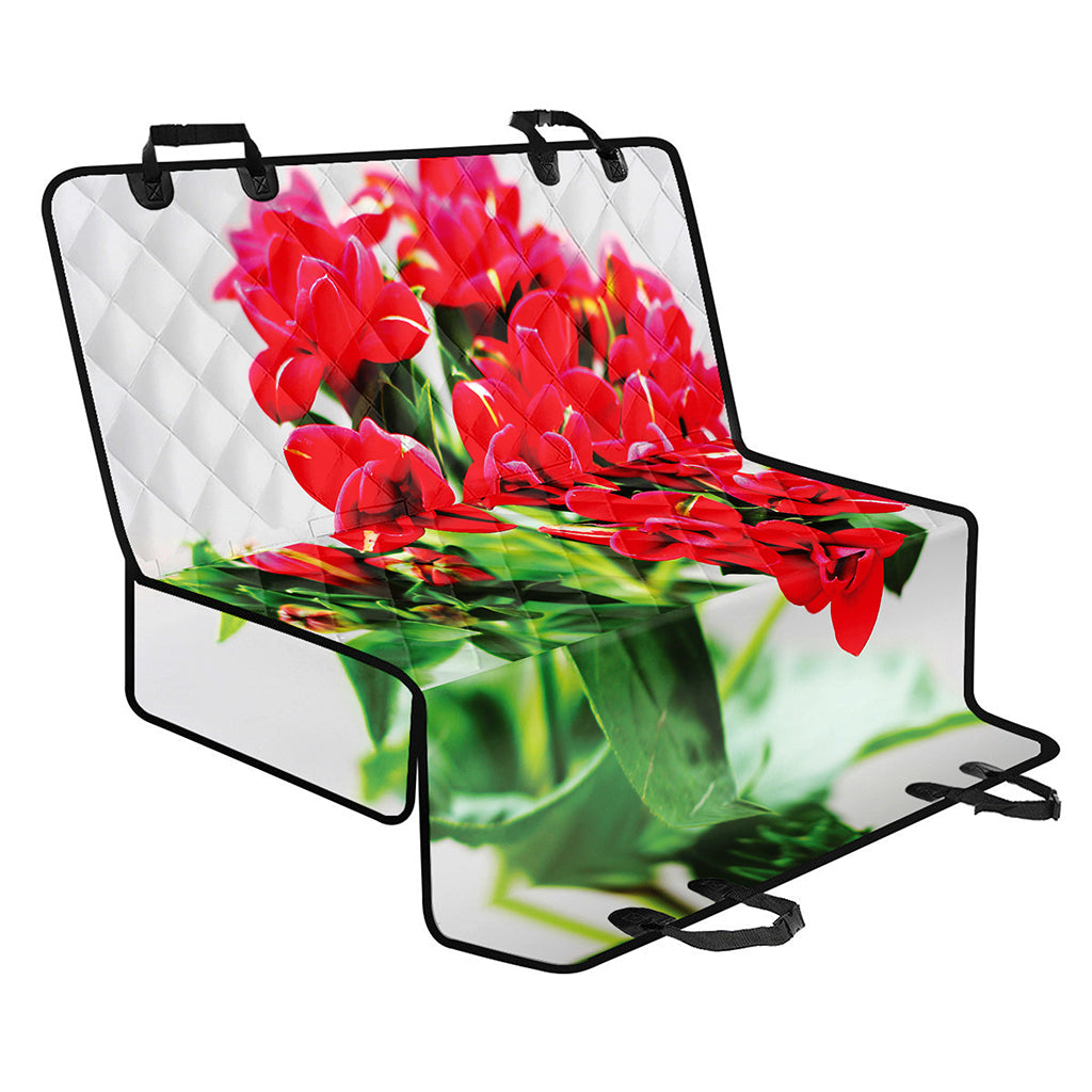 Bouvardia Plant Print Pet Car Back Seat Cover