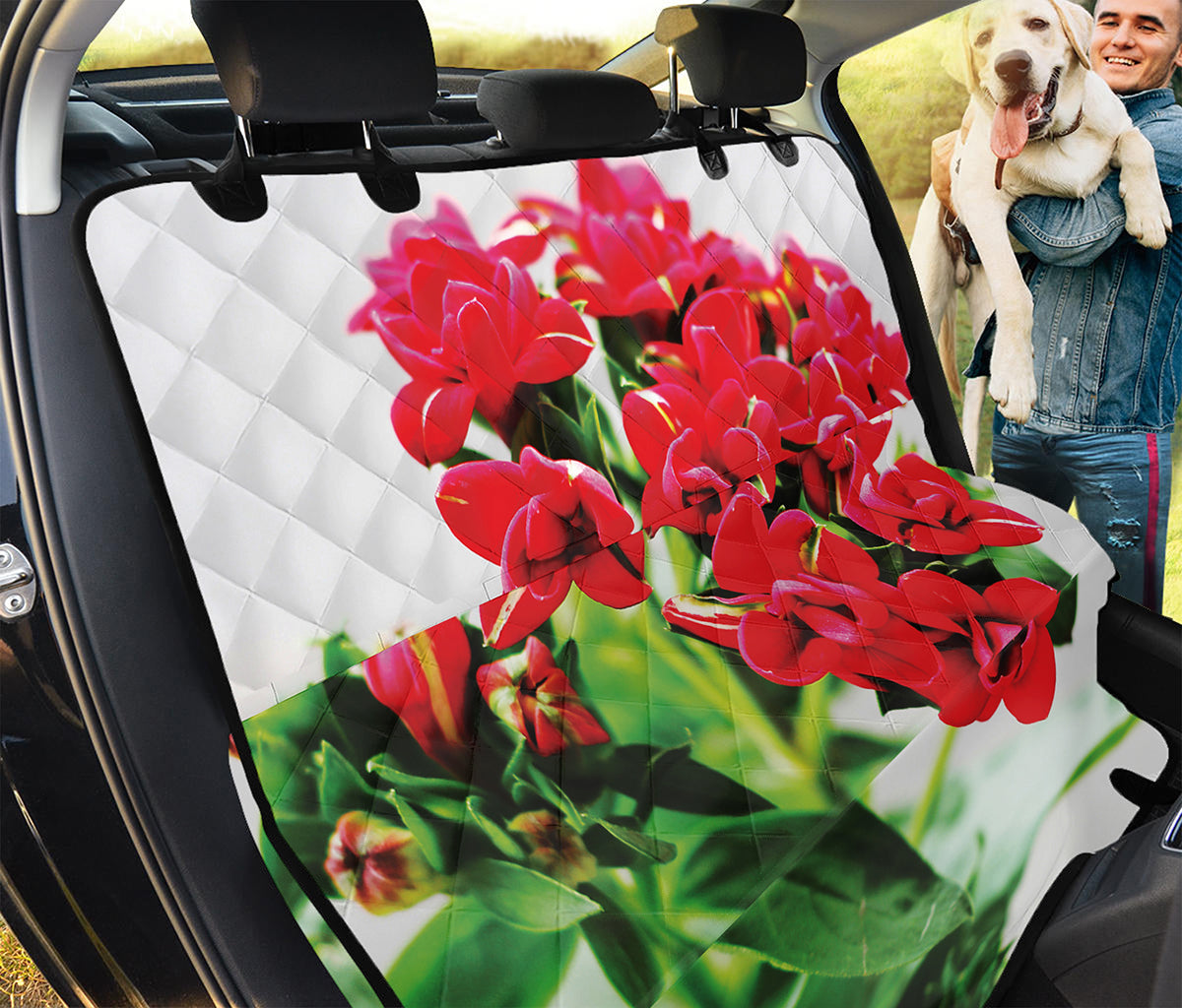 Bouvardia Plant Print Pet Car Back Seat Cover