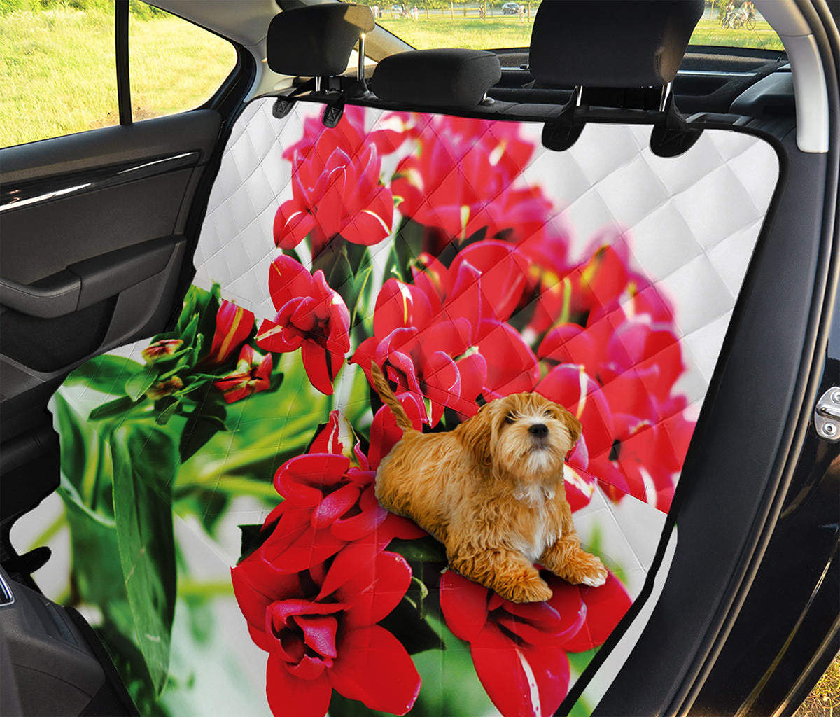 Bouvardia Plant Print Pet Car Back Seat Cover