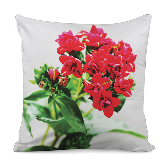 Bouvardia Plant Print Pillow Cover