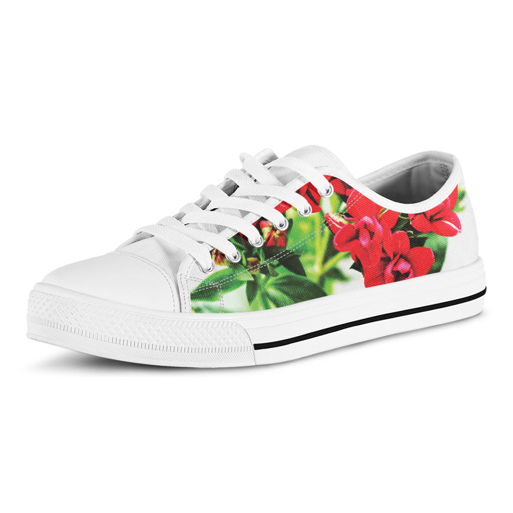 Bouvardia Plant Print White Low Top Shoes