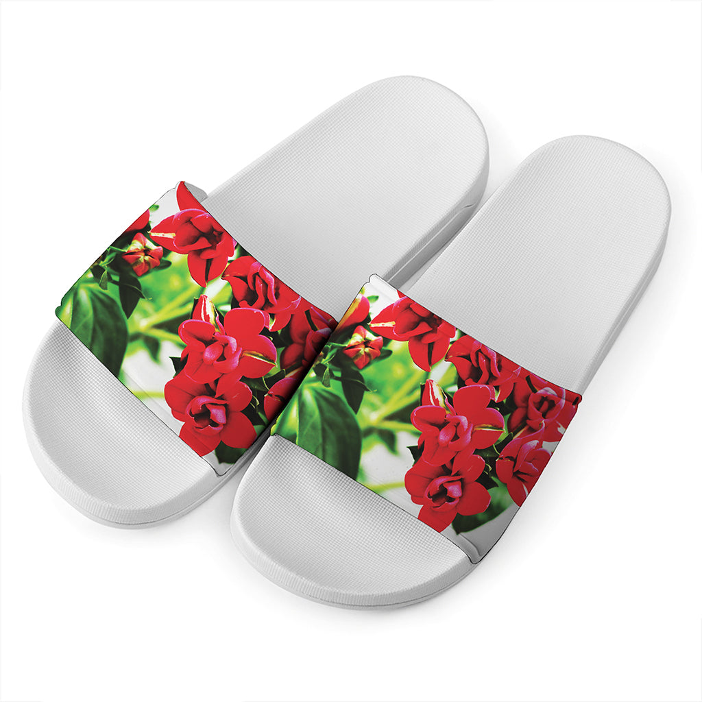Bouvardia Plant Print White Slide Sandals
