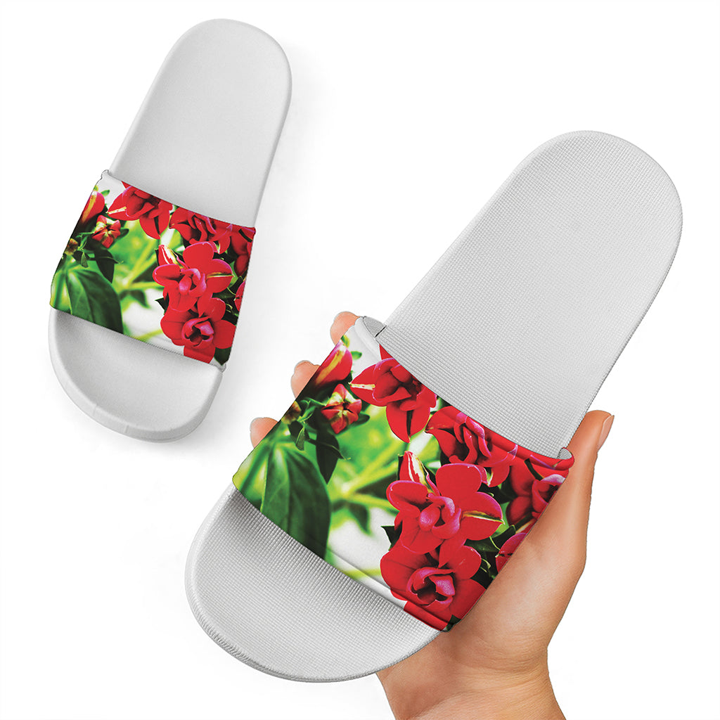 Bouvardia Plant Print White Slide Sandals