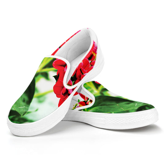 Bouvardia Plant Print White Slip On Shoes