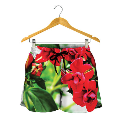 Bouvardia Plant Print Women's Shorts