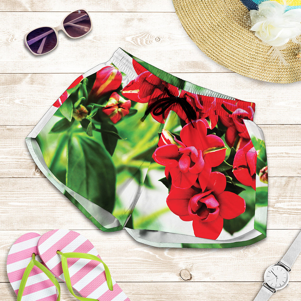 Bouvardia Plant Print Women's Shorts