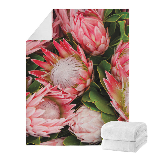 Bunches of Proteas Print Blanket