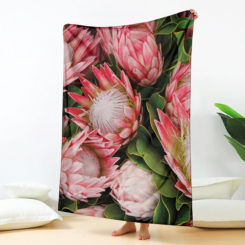 Bunches of Proteas Print Blanket
