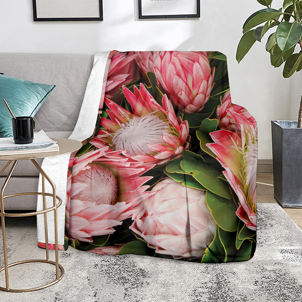 Bunches of Proteas Print Blanket