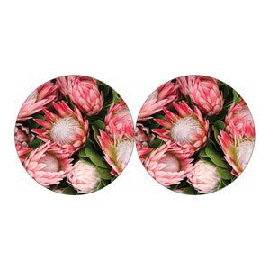 Bunches of Proteas Print Car Coasters