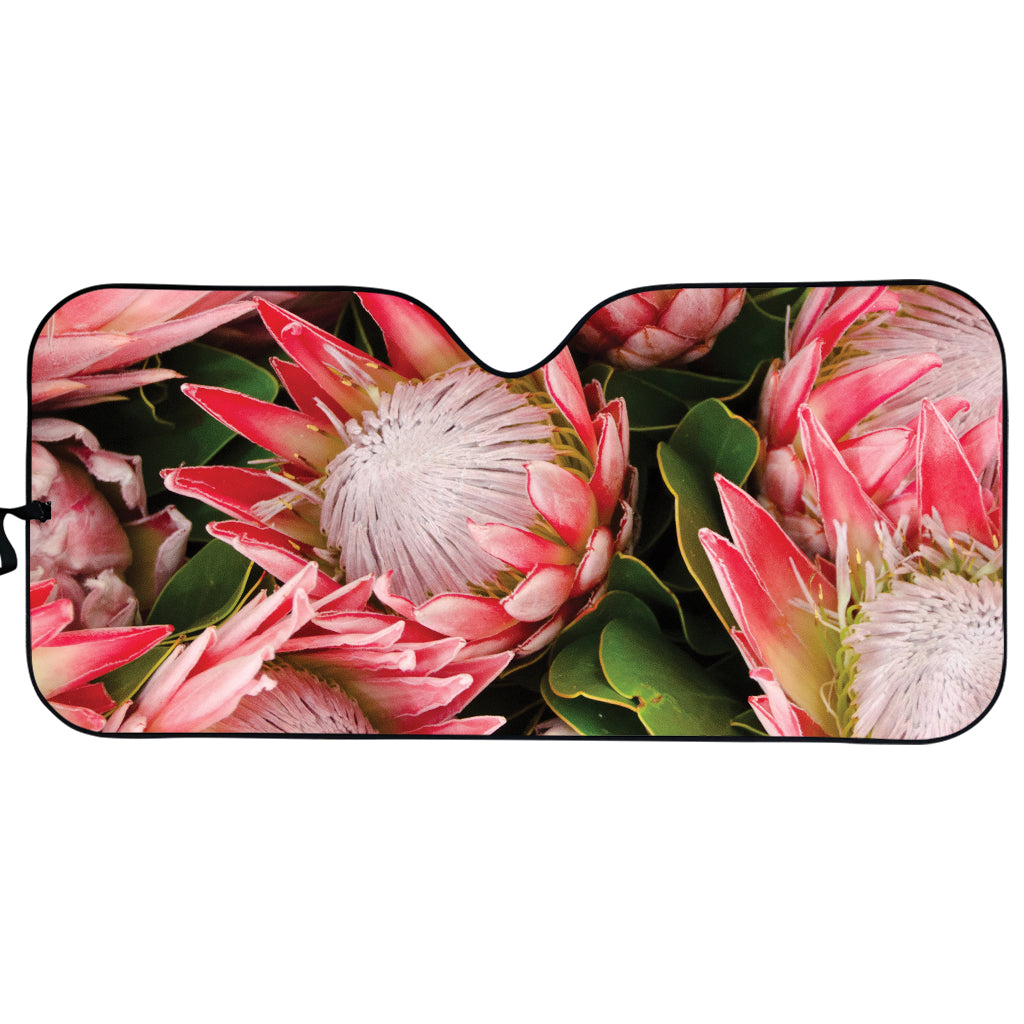 Bunches of Proteas Print Car Sun Shade