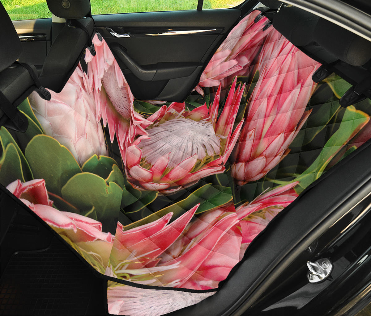 Bunches of Proteas Print Pet Car Back Seat Cover