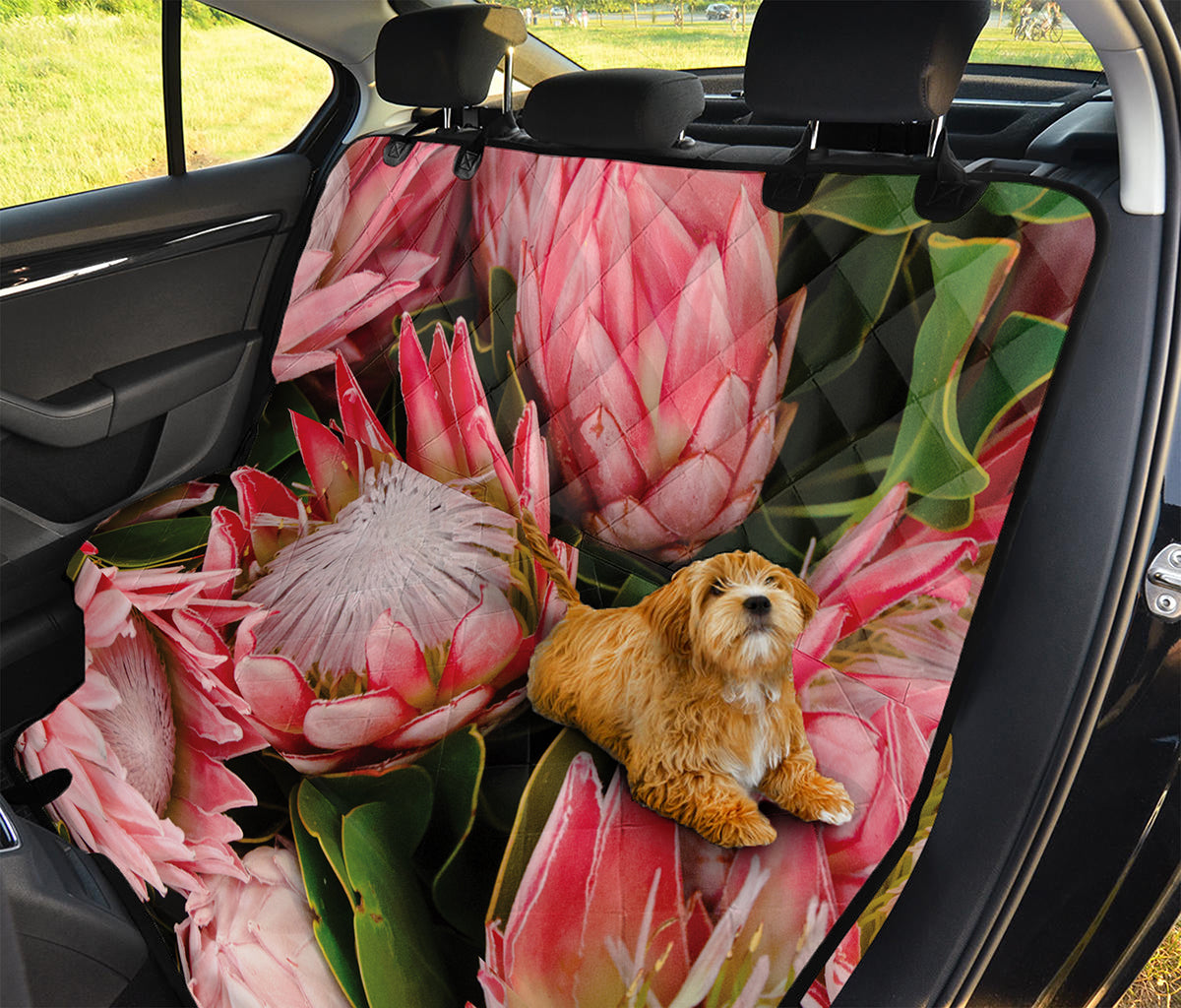 Bunches of Proteas Print Pet Car Back Seat Cover