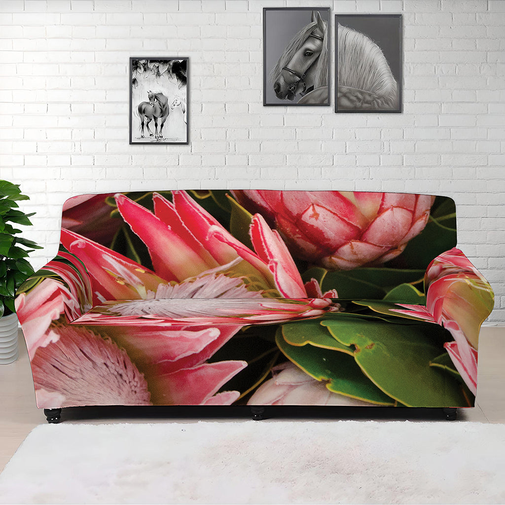 Bunches of Proteas Print Sofa Cover