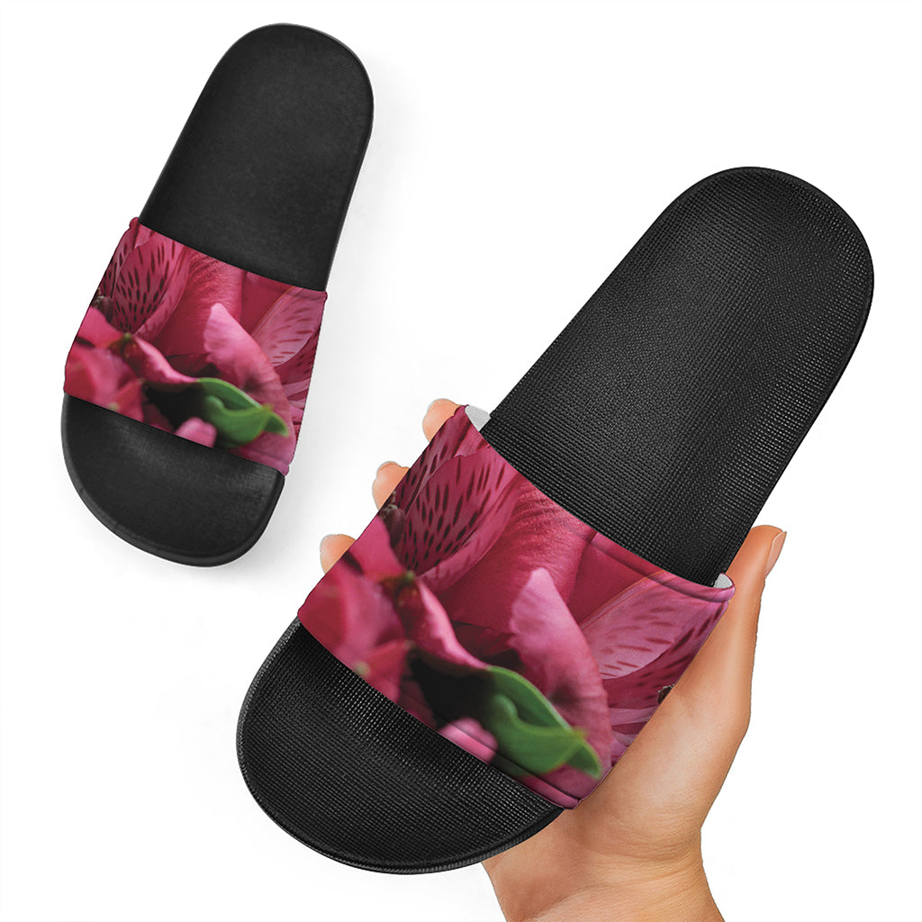 Burgundy Alstroemeria Print Black Slide Sandals