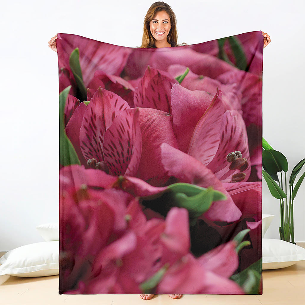 Burgundy Alstroemeria Print Blanket