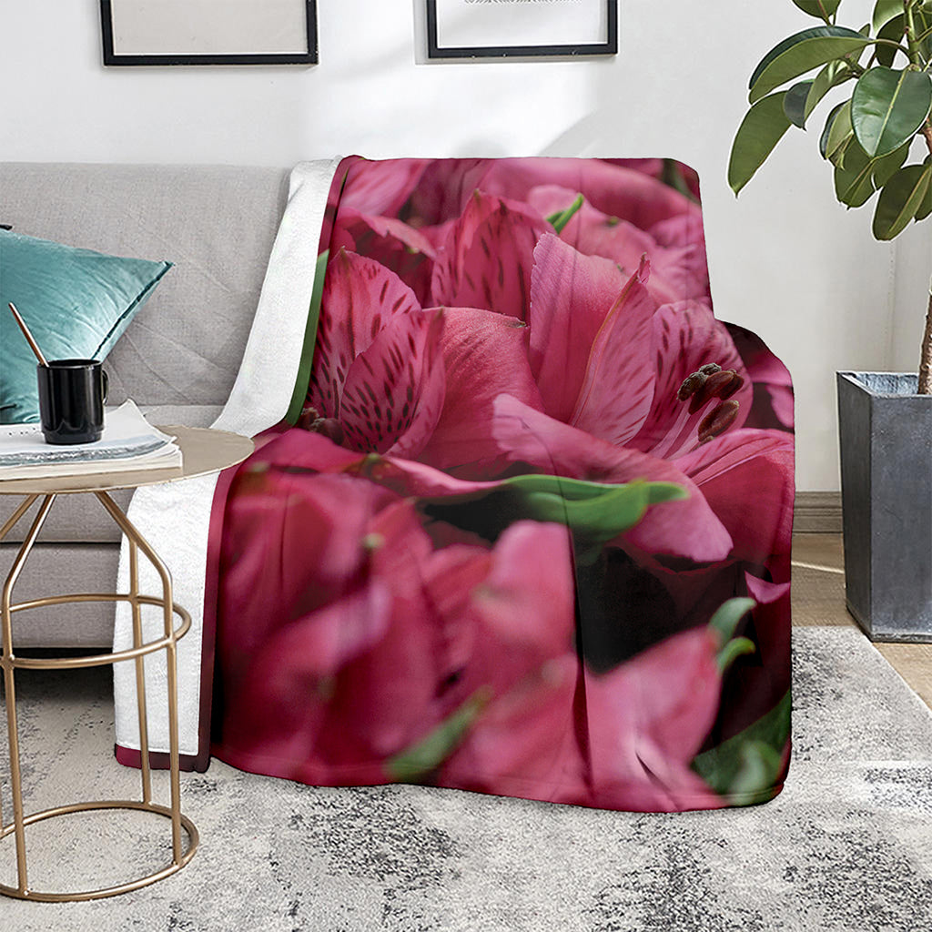 Burgundy Alstroemeria Print Blanket