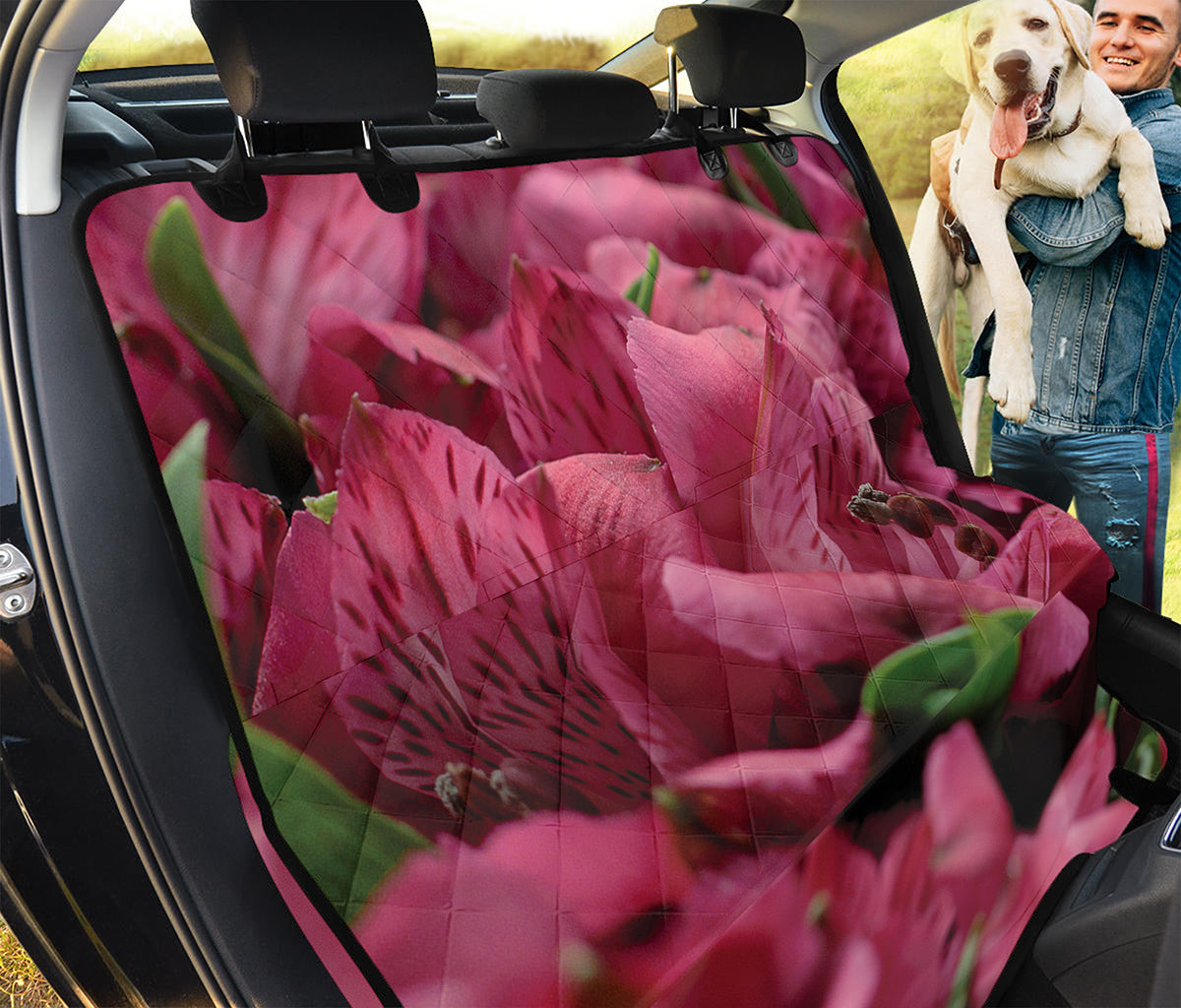 Burgundy Alstroemeria Print Pet Car Back Seat Cover