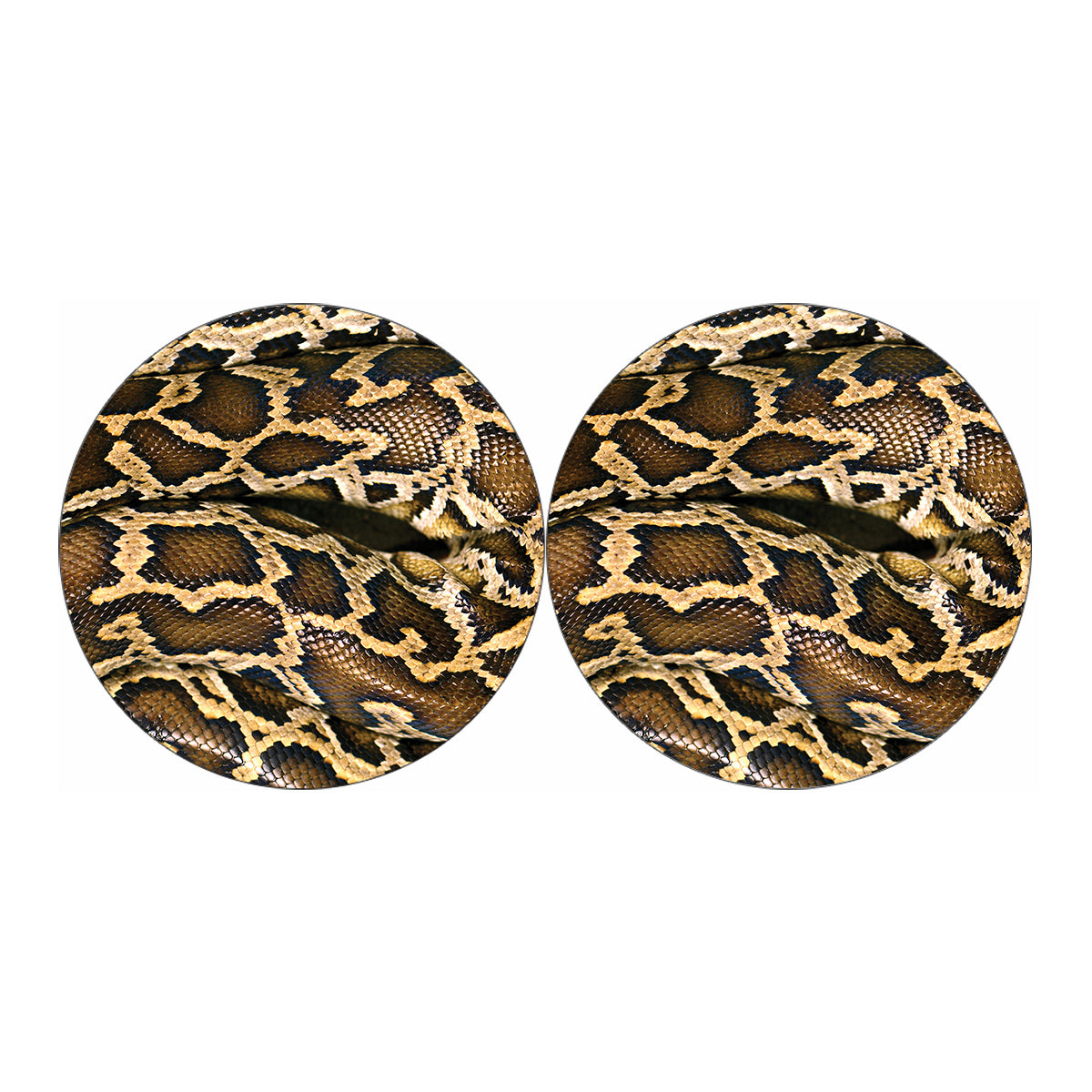 Burmese Python Snake Print Car Coasters