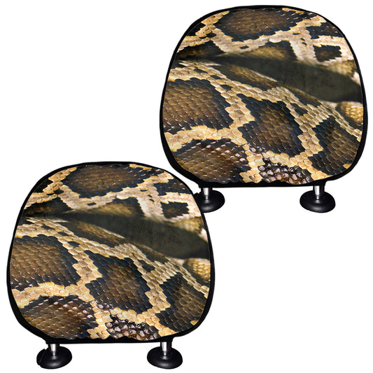 Burmese Python Snake Print Car Headrest Covers