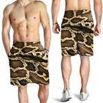 Burmese Python Snake Print Men's Shorts