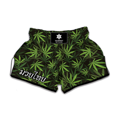 Cannabis Leaves Pattern Print Muay Thai Boxing Shorts