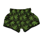 Cannabis Leaves Pattern Print Muay Thai Boxing Shorts