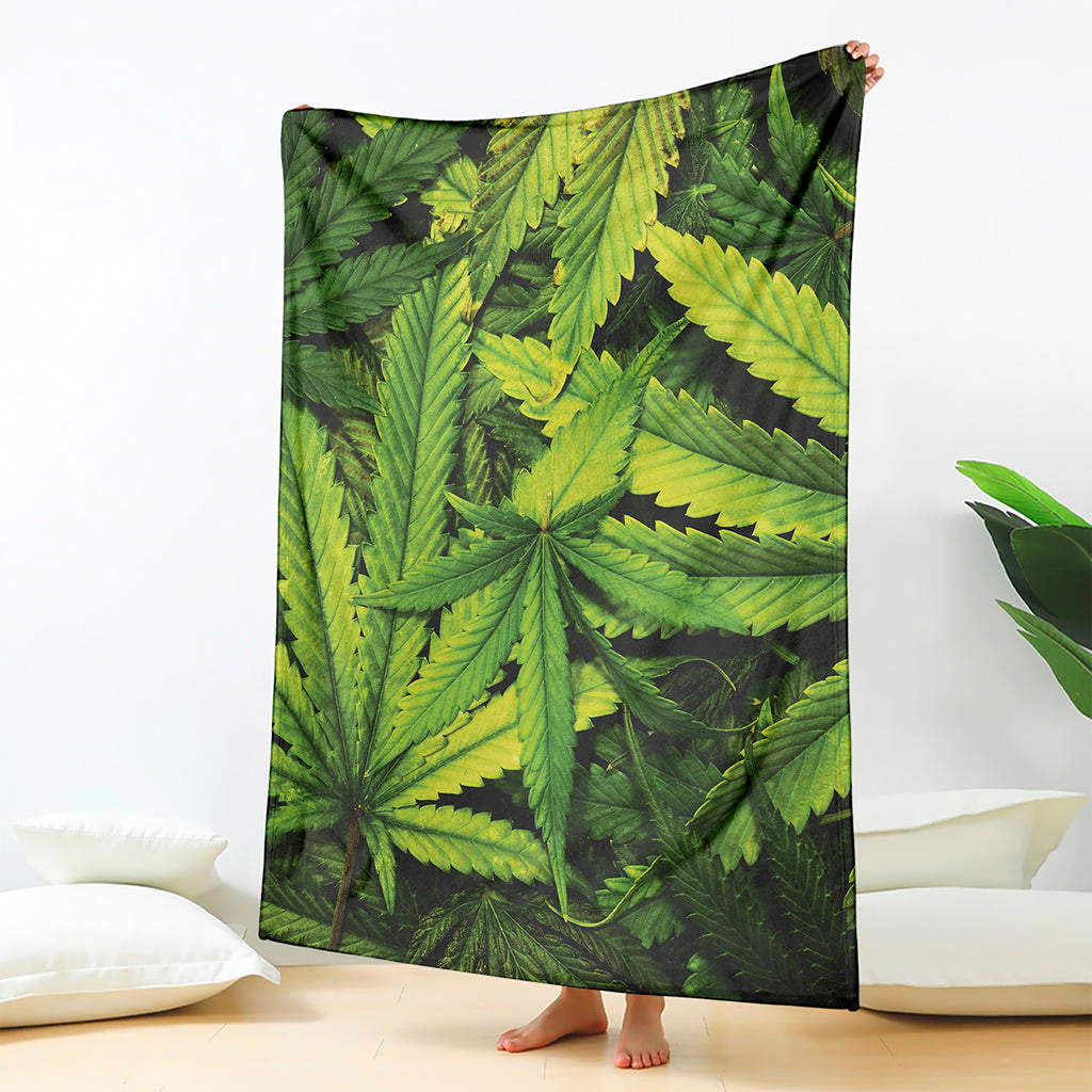 Cannabis Print Blanket