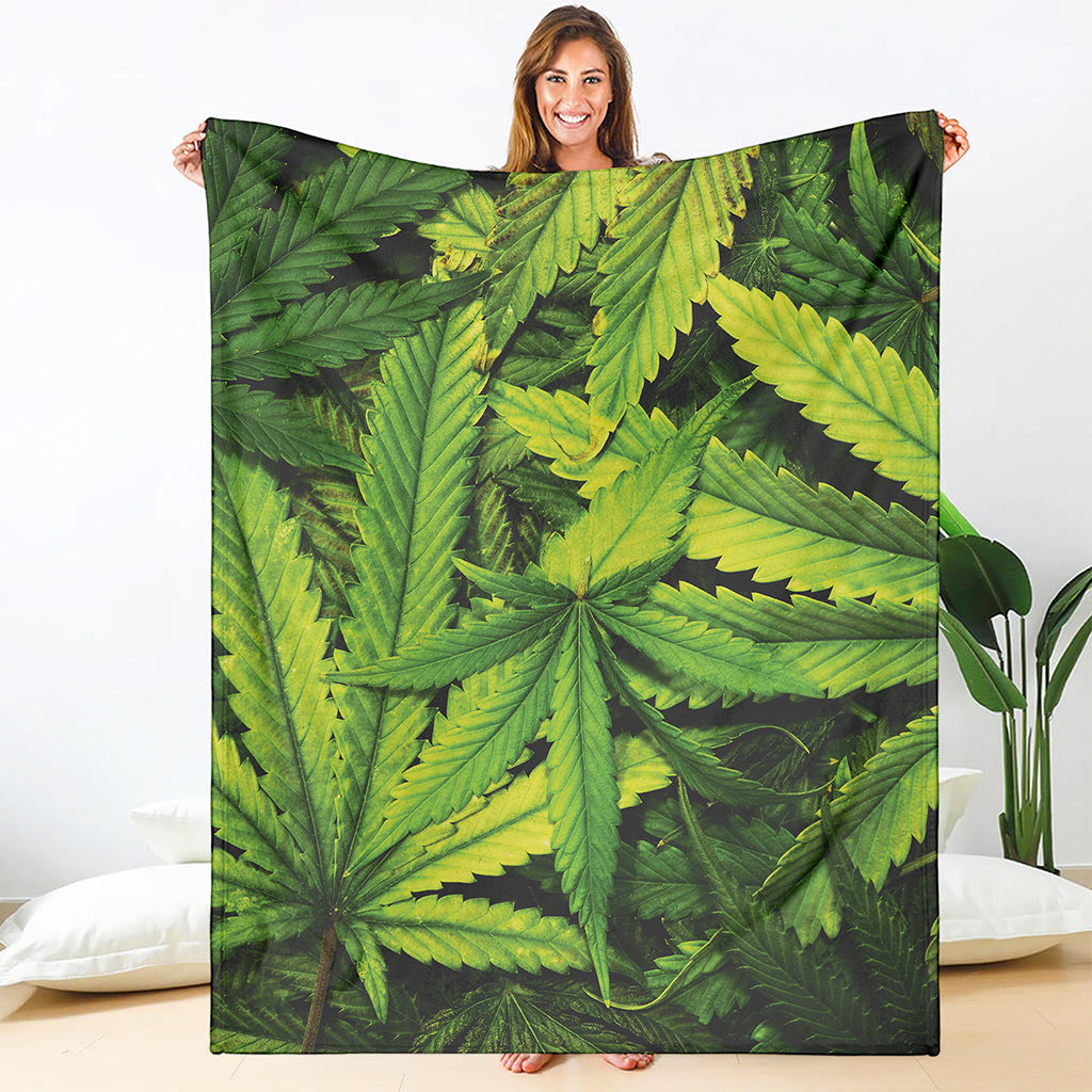 Cannabis Print Blanket