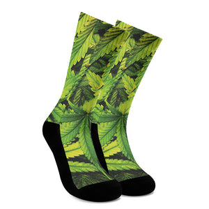 Cannabis Print Crew Socks