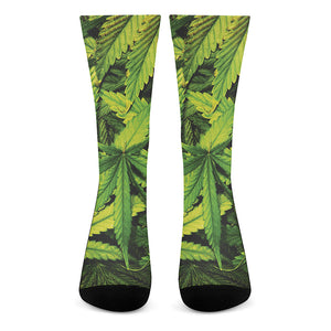 Cannabis Print Crew Socks