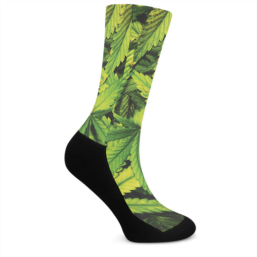 Cannabis Print Crew Socks