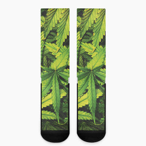 Cannabis Print Crew Socks