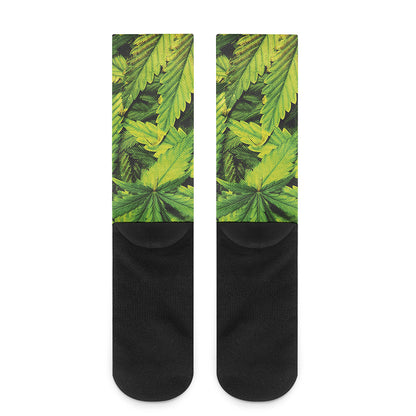 Cannabis Print Crew Socks