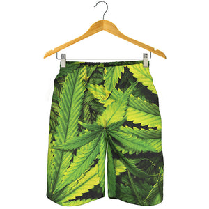 Cannabis Print Men's Shorts