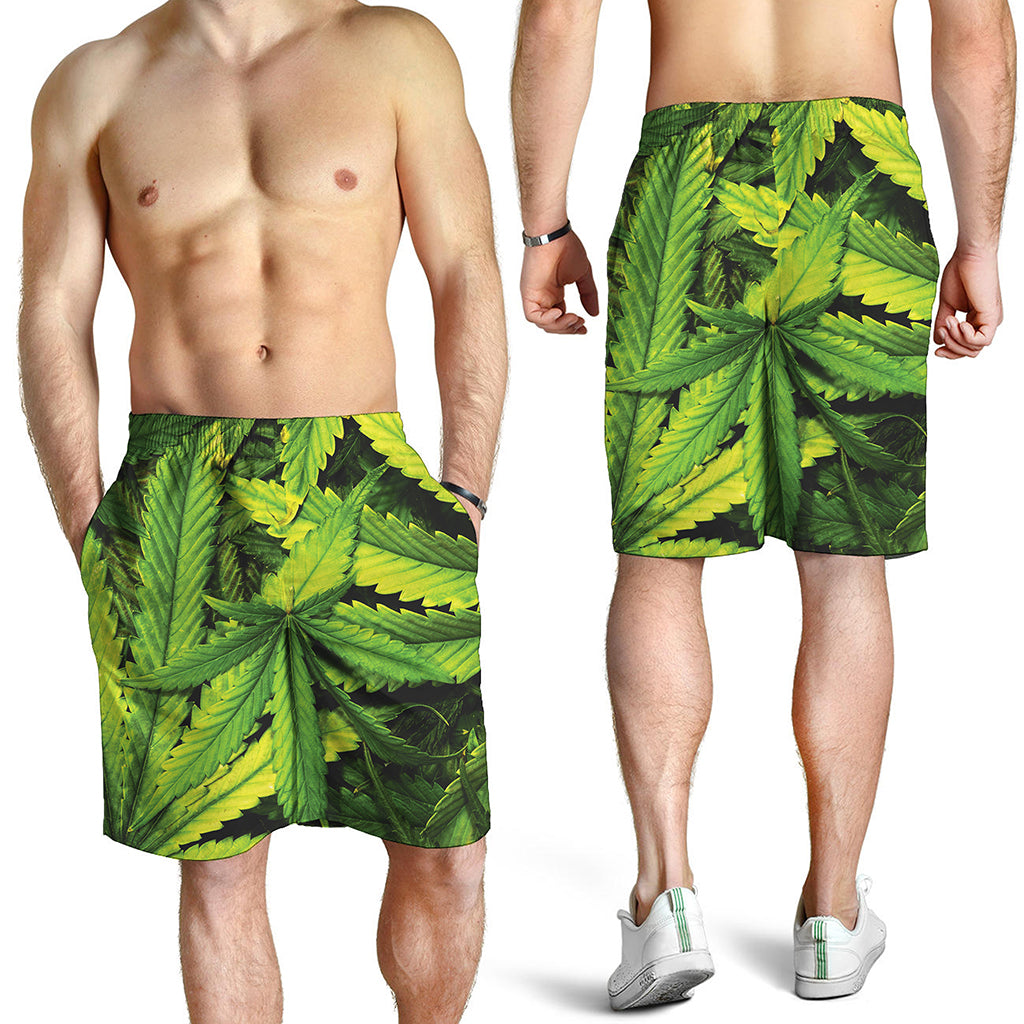 Cannabis Print Men's Shorts