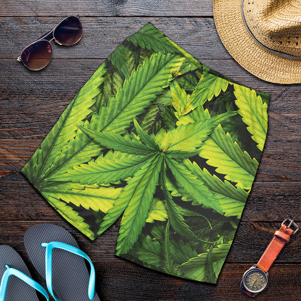 Cannabis Print Men's Shorts