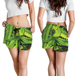 Cannabis Print Women's Shorts