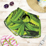 Cannabis Print Women's Shorts