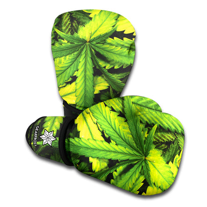 Cannabis Texture Print Boxing Gloves