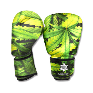 Cannabis Texture Print Boxing Gloves