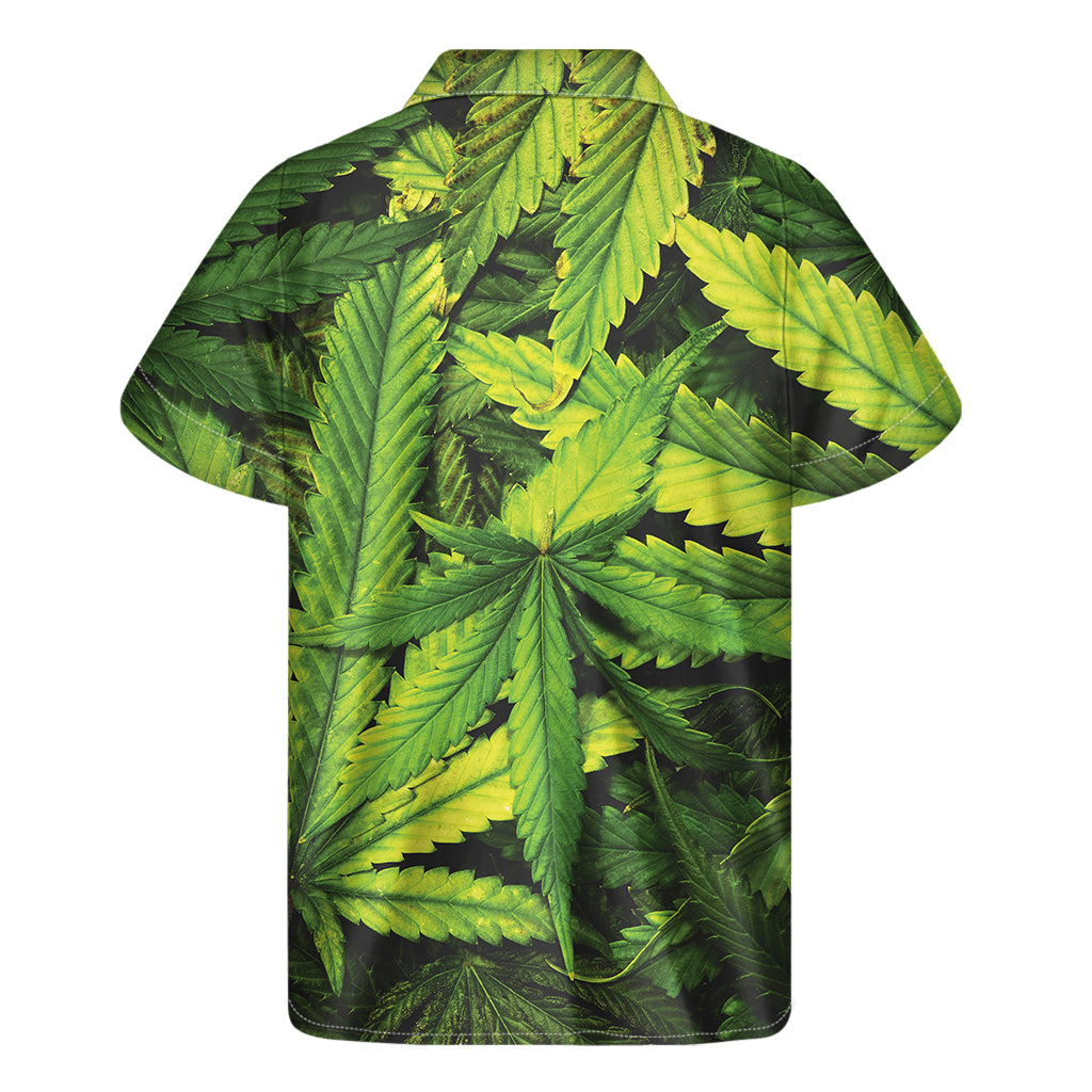 Cannabis Texture Print Men's Short Sleeve Shirt