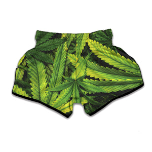 Cannabis Texture Print Muay Thai Boxing Shorts