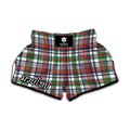 Christmas Madras Plaid Print Muay Thai Boxing Shorts