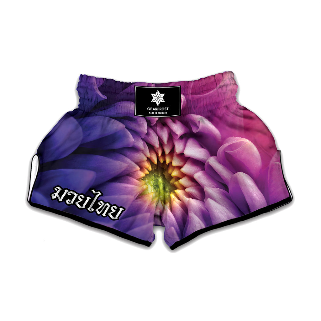 Chrysanthemum Flower Print Muay Thai Boxing Shorts