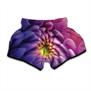 Chrysanthemum Flower Print Muay Thai Boxing Shorts