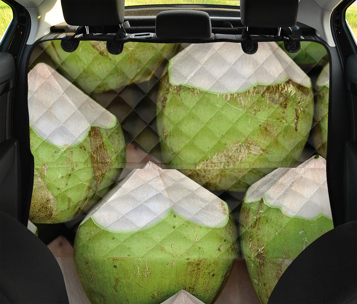 Coconut 3D Print Pet Car Back Seat Cover