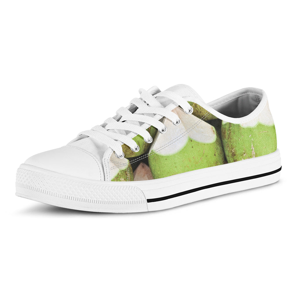 Coconut 3D Print White Low Top Shoes